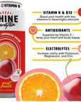 ShineWater Vitamin D Hydration Electrolyte Drink Fruit Punch 12 Pack Sugar Free Naturally Flavored Water Magnesium Zinc Vitamin B12 Folic Acid Plant Based Antioxidants Low Calorie