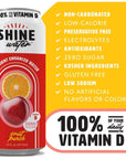 ShineWater Vitamin D Hydration Electrolyte Drink Fruit Punch 12 Pack Sugar Free Naturally Flavored Water Magnesium Zinc Vitamin B12 Folic Acid Plant Based Antioxidants Low Calorie