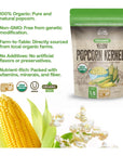 Ava Farms Organic Yellow Popcorn Kernels  24 Oz Bag GlutenFree Non GMO  Natural Healthy Kosher Popping Corn  UnPopped