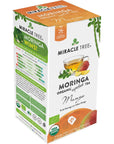 Miracle Tree  Organic Moringa Superfood Tea 25 Individually Sealed Tea Bags Mango Keto Detox Energy  Immunity Booster Vegan GlutenFree Organic NonGMO CaffeineFree