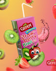 Gefen Strawberry Kiwi Juice Box Drinks with Straw 27 Pack  No High Fructose Corn Syrup  Travel Friendly  Lunchbox Size  Kosher