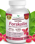 Premium 100% Ultra Pure Forskolin for Weight Loss Max Strength w/ 40% Standardized Coleus Forskohlii Root Extract Powder Belly Buster Supplement - Extreme Keto Advanced Boost Complex - 60 Diet Pills