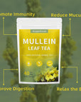 WeightWorld Mullein Leaf Tea Bags  Lungs Cleanse  Mullein Tea for Detox and Respiratory Support  CaffeineFree  NonGMO  40 Tea Bags