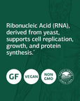 Standard Process Ribonucleic Acid (RNA) - RNA Supplement with Calcium, and Magnesium Citrate - Vegetarian, Gluten Free - 90 Tablets