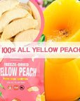 ONETANG Freeze-Dried Fruit Yellow Peach Chips, 9 Pack Single-Serve Pack, Non GMO, Kosher, No Add Sugar, Gluten free, Vegan, Holiday Gifts, Healthy Snack 0.35 Ounce