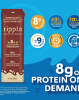 Ripple NonDairy Milk Chocolate Vegan Milk With 8g Pea Protein  Shelf Stable Single Serve Cartons  OnTheGo  NonGMO Plant Based Gluten Free  8 oz 12 Pack