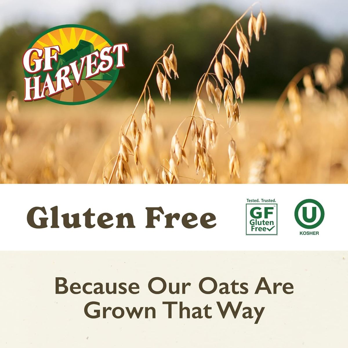 GF Harvest Gluten Free Organic Rolled Oats 32 Ounce Bag Pack of 2