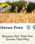 GF Harvest Gluten Free Organic Rolled Oats 32 Ounce Bag Pack of 2