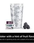 Ninja Thirsti Flavored Water Drops SPLASH With Unsweetened Fruit Essence Wild Blackberry 3 Pack Zero Calories Zero Sugar Zero Sweeteners 207 Fl Oz Makes 20 12oz Drinks WCFLBLBYAM