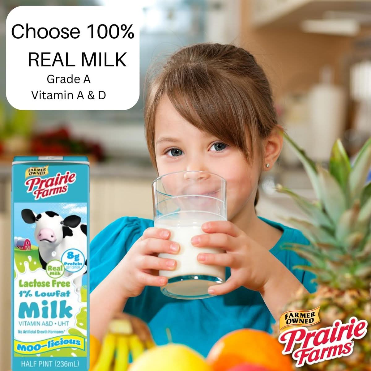 Prairie Farms  Lactose Free Milk Shelf Stable 1 Low Fat Milk Boxes Vitamin D Gluten Free UHT Milk Kosher  8oz 27 Pack