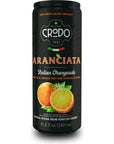 Fonti Di Crodo Aranciata Italian Sparkling Orangeade 112 Oz Cans Pack of 24