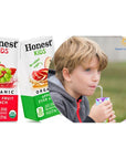 Honest Juice Boxes for kids Organic Juice  Juice Box of Apple Juice Berry Lemonade Grape  Fruit Punch has No Added Sugar and Tasty Juice Drink for Adult and Kids  6 Fl oz Pack of 10  Every Order is Elegantly Packaged in a Signature BETRULIGHT Branded Box