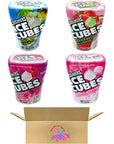 Ice Breakers Ice Cubes Combo Pack Pina Colada Watermelon Slushie Raspberry Sorbet Bubble Breeze  40 Pieces Each 4 Bottles Total