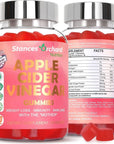 STANCES ORCHARD Apple Cider Vinegar Gummies for Weight Loss - Made in USA