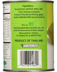 Chaokoh Young Green Jackfruit in Brine 280g 2 Pack