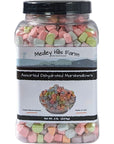 Assorted Dehydrated Marshmallows in Reusable Container by Medley hills farm  dehydrated marshmallow bits  Cereal marshmallows  Perfect mini marshmallows for hot chocolate