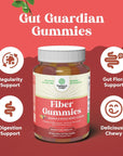 Tasty Prebiotic Fiber Gummies for Adults - High Fiber Supplement Gummies Vitamins for Adults with Prebiotic Soluble Chicory Root for Immunity and Digestive Support - Non GMO Vegan Halal 60 Count