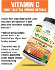 NaturaLife Labs A Higher Standard Vitamin C 1,700 MG with Vitamin D3, Zinc, Elderberry, Ginger Root - Maximum Strength Multi System Immune Support- 100 Veggie Capsules