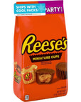 REESES Miniatures Milk Chocolate Peanut Butter Cups Candy Party Pack 356 oz