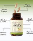 Herbal Roots Ginger Supplement - 1,200 mg - 60 Vegan Capsules