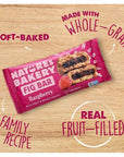 Nature’s Bakery Whole Wheat Fig Bars, Raspberry, Real Fruit, Vegan, Non-GMO, Snack bar, 6 Count (Pack of 6)