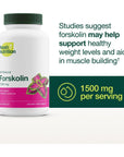 Forskolin Supplement - Potent 1500mg Coleus Forskohlii Extract with 20% Forskolin HPLC - Vegan - Non GMO, Gluten-free - 90 Capsules