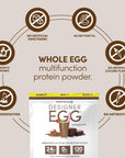 Designer Wellness, Designer Egg, Natural Egg Yolk & White Protein Powder, Keto and Paleo Friendly, Low Calorie, Less Fat and Cholesterol, Dutch Chocolate, 12.4 Ounce