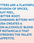 Hella Cocktail Co Bitters  Soda Classic Dry Aromatic  12oz Cans 12 Pack I Aromatic Botanical and Herbal NonAlcoholic Drinks SugarFree ReadytoDrink Mocktails