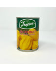 Tropics Sweet Jackfruit Langka in Syrup in Can 20 oz 1 Can