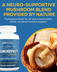 Paleovalley NeuroEffect - Neuro Mushroom Coffee Nutritional Supplement for Focus, Memory, and Energy Support - 28-Day Supply - 8 Full Spectrum Mushroom and Whole Coffee Fruit Extracts