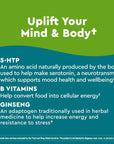 Nature Made Wellblends Positive Mood & Energy, 5HTP, Thiamin, Niacin, Vitamin B6, Vitamin B12, and Pantothenic Acid, plus Ginseng, 24 Softgels