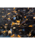 Matiz Espana Organic Mussels in Extra Virgin Olive Oil and Apple Cider Vinegar  4 oz  12 Pack  From the Coast of Galicia Spain