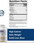 Massone Mass Gainer Protein Powder by NutraOne - Gain Mass Protein Meal Replacement (Vanilla - 7 lbs.)