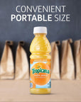 Tropicana 100 Orange Juice 10 Fl Oz Pack of 24  Real Fruit Juices Vitamin C Rich No Added Sugars No Artificial Flavors