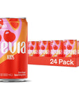 Zevia Kidz Fruit Punch 75 Ounce Cans Pack of 24