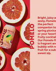 Sanzo Flavored Sparkling Water Variety 12Pack  Lychee Berry Yuzu Lemon Pomelo Grapefruit Calamansi Lime  Mango Alphonso  Made with Real Fruit No Added  Gluten Free  12 Fl Oz