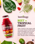 Beetology Organic Beet and Tropical Juice 845oz 6 Pack  100 Cold Pressed  Heart Healthy  Nutrient Packed Vegetable Juice  Vibrant Flavor  Wonder Beet