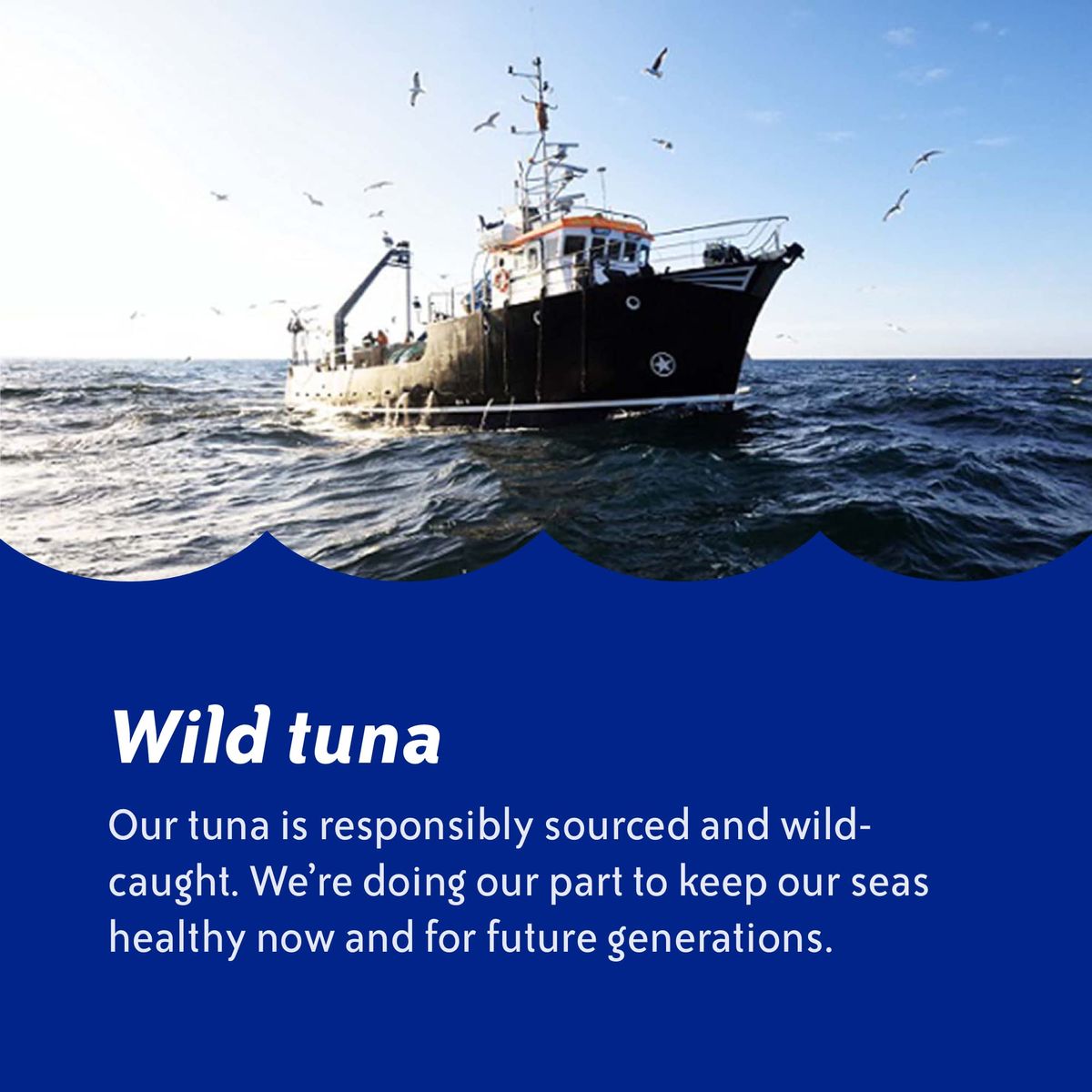 Chicken of the Sea Chunk Light Tuna in Water Wild Caught Tuna 25 Less Sodium 5Ounce Cans Pack of 24