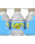 Splash Refresher Lemon Flavored Water 8 Fl Oz Plastic Bottle Pack of 12