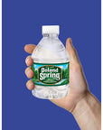 Blue Ribbon Poland Spring Natural Spring Water 8 Fl Oz Pack of 20 Total of 160 Fl Oz