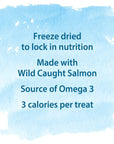 Caledon Farms Freeze Dried Bites  Salmon 90G32OZ