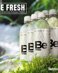 Be Water Artesian 4 cases of 6 from Natural Blue Ridge Mtn Wells  Pure Artesian Springs  Naturally Flowing Safe Ionized Premium Bottled Drinking Agua EmbotelladaSafe BPA Free Hydration