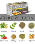 Tisan After Overeating Tihveps Apricot Tea  2 boxes total 40 tea bags