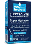 Vitamin Hydrate Electrolyte Powdered Drink Mix - 10 Stick Packs