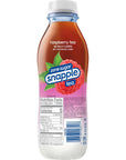 Snapple Zero Sugar Raspberry Tea 16 fl oz recycled plastic bottle Pack of 12