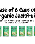 Jiva Organic Young Green Jackfruit 14 Ounce Pack of 6  BPA Free Gluten Free Jackfruit Canned Delicious Vegan Meatless Alternative