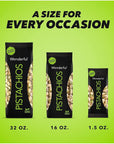 Wonderful Pistachios In Shell, Roasted & Salted Nuts, 16 Ounce Bag - Healthy Snack, Protein Snack, Pantry Staple