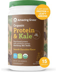 Amazing Grass Vegan Protein & Kale Powder: 20g of Organic Protein + 1 Cup Leafy Greens per Serving, Mixed Berry, 15 Servings, 1.12 Pound (Pack of 1)