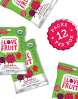 YOU LOVE FRUIT  SUPERBERRY All Natural Fruit Snacks Healthy Snack Pack Real Fruit Gluten Free Non GMO Vegan Fiber packed Low Fat Kosher Variety Pack Great For Adding To Gift Box 10 oz Pack of 12