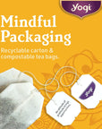 Yogi Tea  Breathe Deep 6 Pack  Supports Respiratory Health with Eucalyptus Thyme and Mullein Leaves  Caffeine Free  96 Organic Herbal Tea Bags